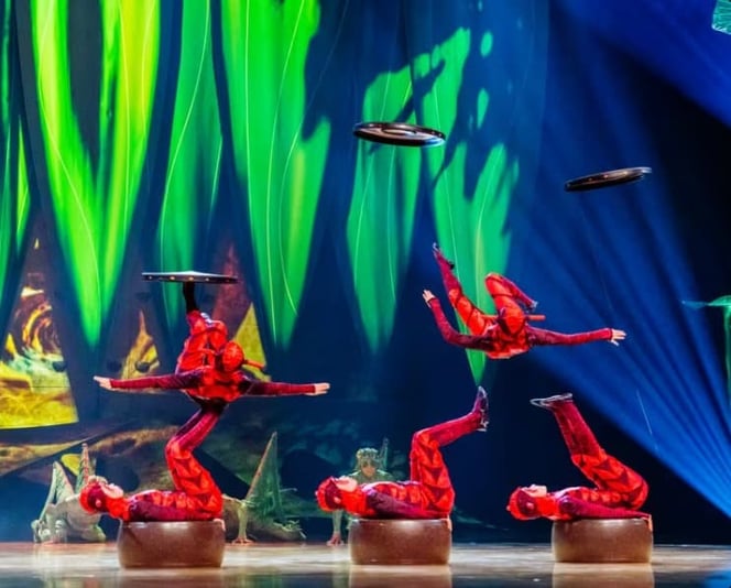 553535984_1244232414410967_7081739954077498783_n