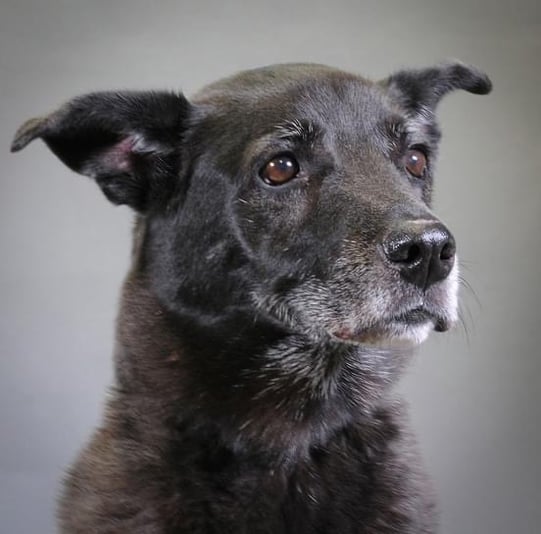 F7C3F39F-0F1C-426A-8C57-5E53A40BE6B8