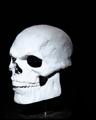 Inside_Out_Skull_Mask_WEBM_db9b342b8d