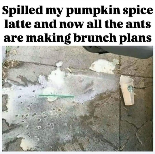 8E3E6814-C5C5-4219-949B-84730CD92492