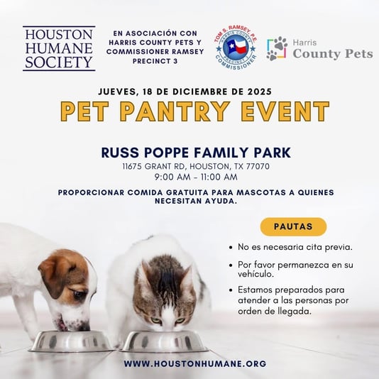 ED3188B1-BFCA-4583-BE32-95E14C618F07