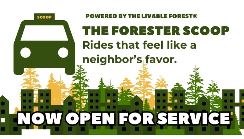 Taxi Business Card in Black Yellow Illustrative Style