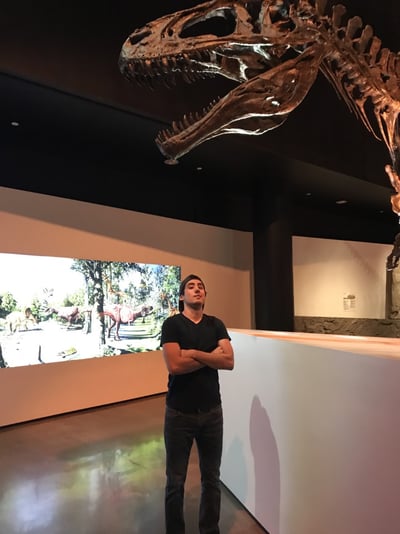 museum-houston