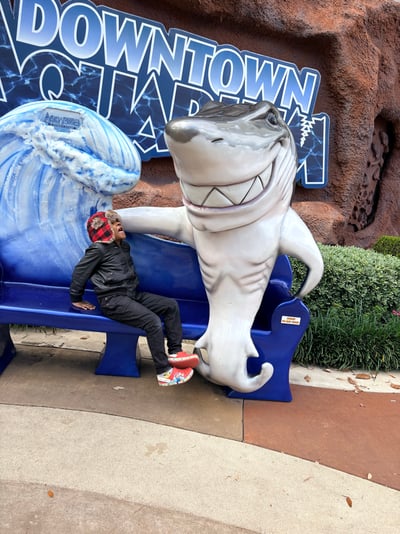 62E194E4-8AB4-4A8C-BF86-791C136B857D