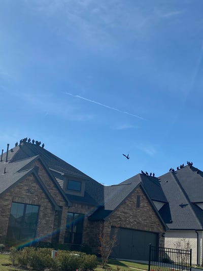 65803F8D-532A-4040-B812-B49B381651DB