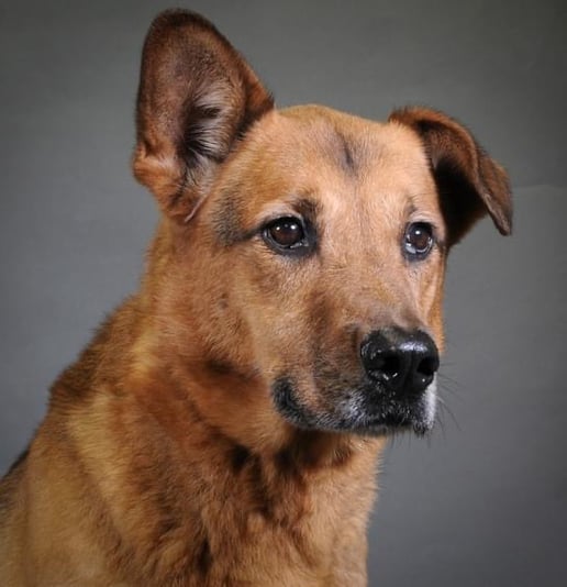 3D7775B7-18B7-4D75-8895-D1747CD614DE