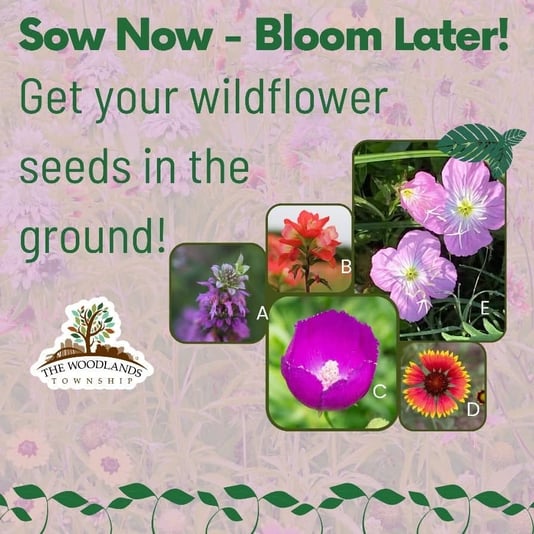 D268ED6C-8E38-40A0-865B-C4573B2569C9