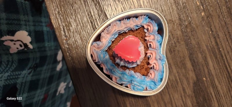 73a7b2b3-d97d-4073-981a-4e2a60160cc6