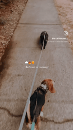 5E6E4A89-1720-41A0-BB26-DF9CA5444CE5