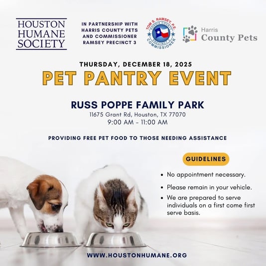 155FB9C2-E8D3-42AD-9D49-F4DF662B578B