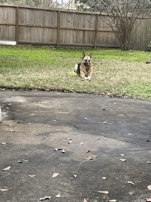 012DC312-B48E-4B62-8DCE-15DDBDB6E97D