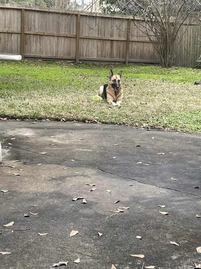 012DC312-B48E-4B62-8DCE-15DDBDB6E97D