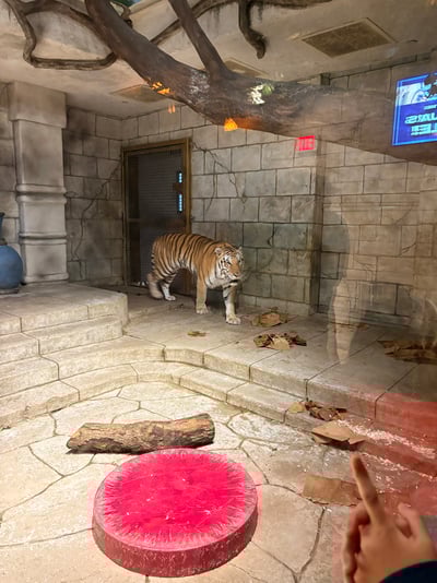 50761737-AE6B-4EA1-8C90-891C7375A49E