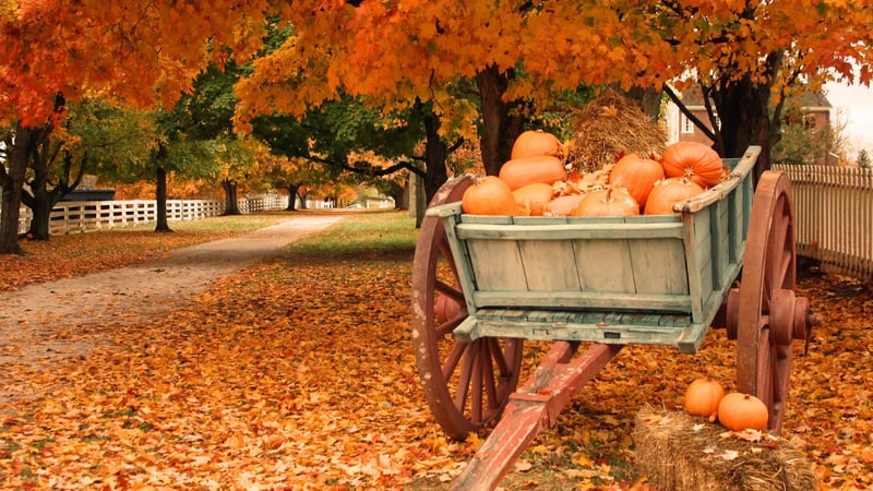 549033945_1188339113338098_8424451368151335014_n