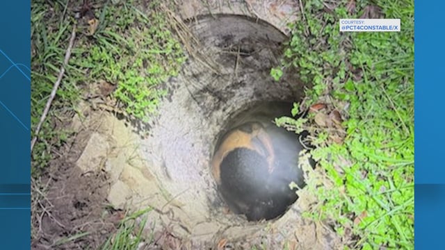 66ffbf2a-1e77-4617-b15b-d05aacc95b53_1920x1080