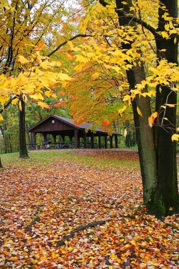 3167AB78-9D10-480E-9427-08A0FD973913