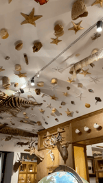 33D5B5F1-9BD4-4F98-A2F8-76201506F538