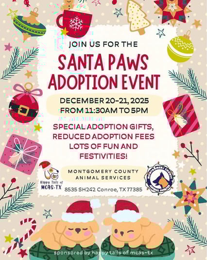 600972645_1282260810613758_3940931252273655175_n