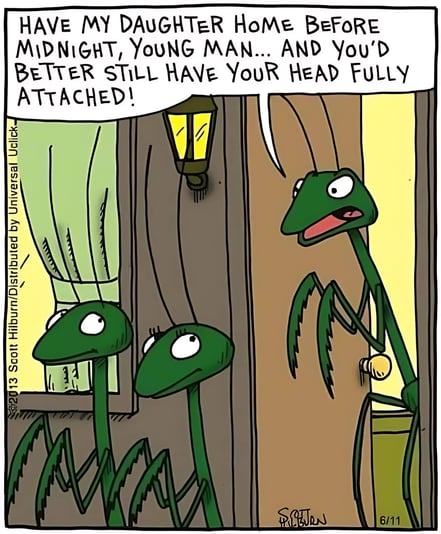 A6BDB7E8-EF8F-405B-BC32-5B98B8279179