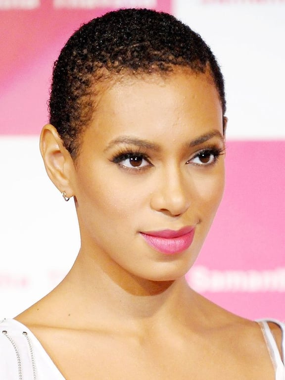 Popular Afro Hairstyles