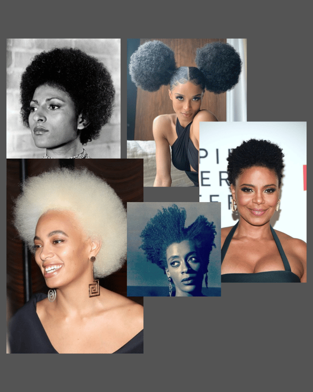 Popular Afro Hairstyles for Black Women
