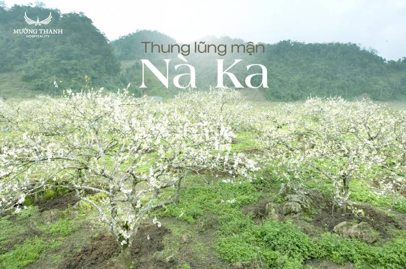 Thung lũng mận Nà Ka — ảnh minh hoạ 1/1