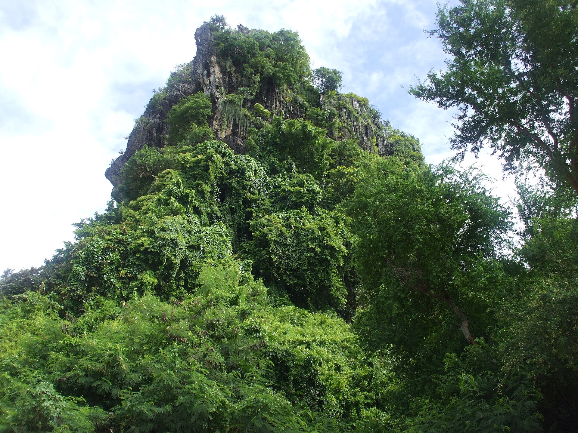 Thạch Động — ảnh minh hoạ 1/1