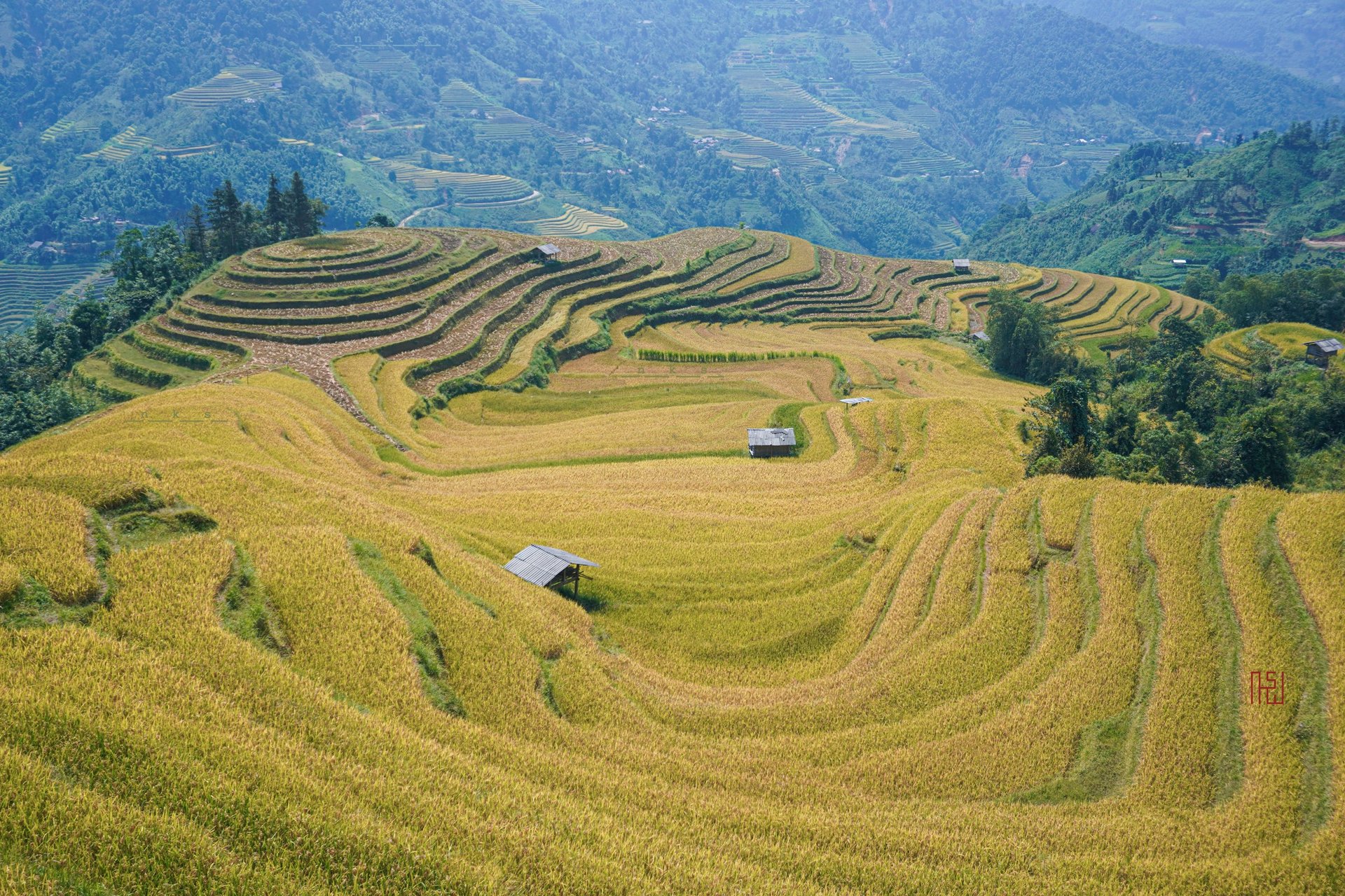 Ruộng bậc thang Hồng Thái — ảnh minh hoạ 1/1