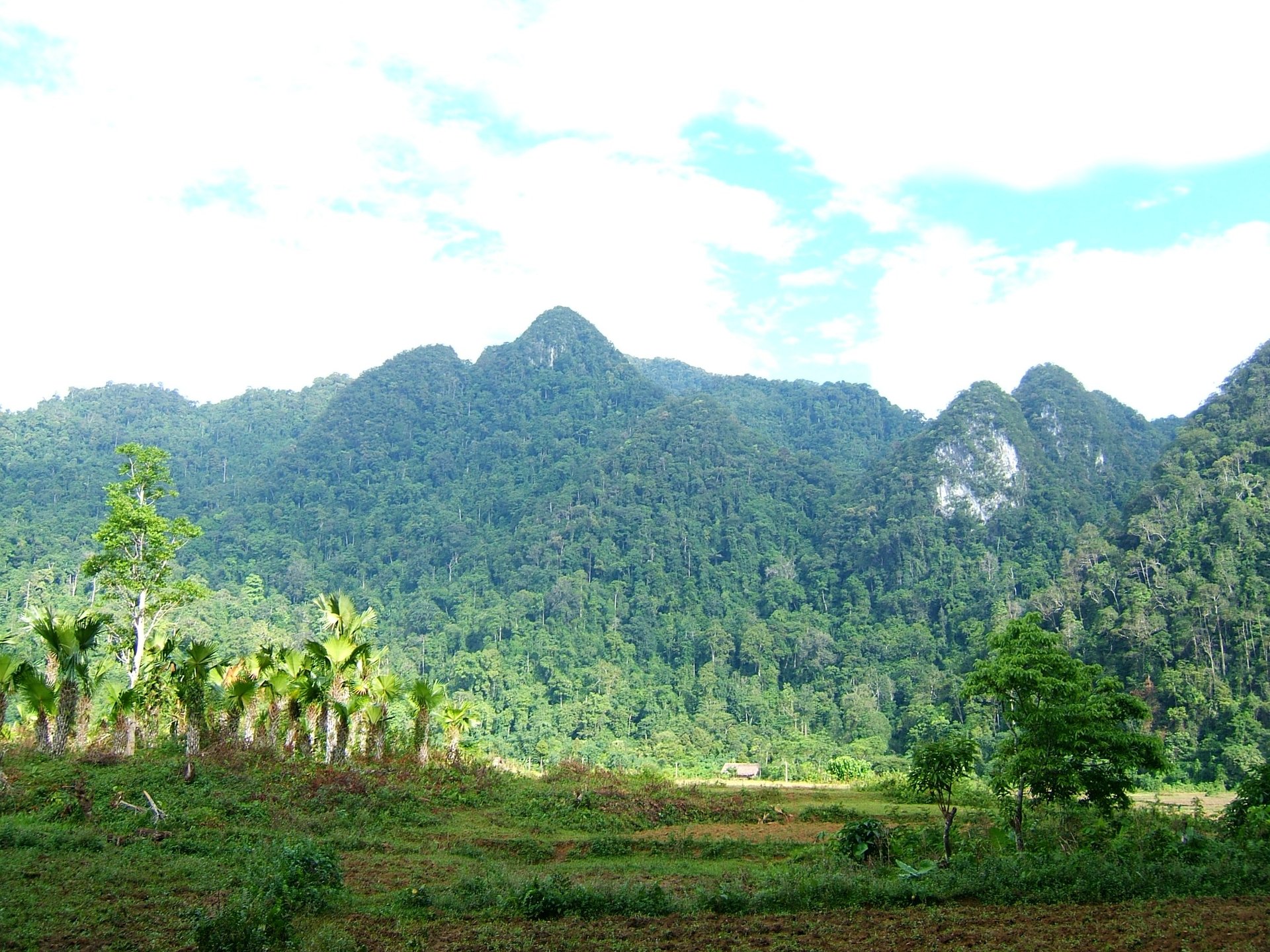 Vườn quốc gia Xuân Sơn — ảnh minh hoạ 1/1