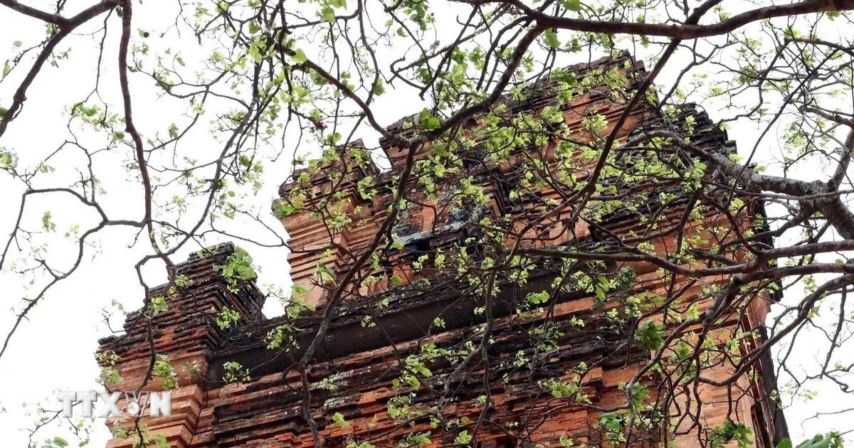 Núi Nhạn và Tháp Nhạn — ảnh minh hoạ 1/1