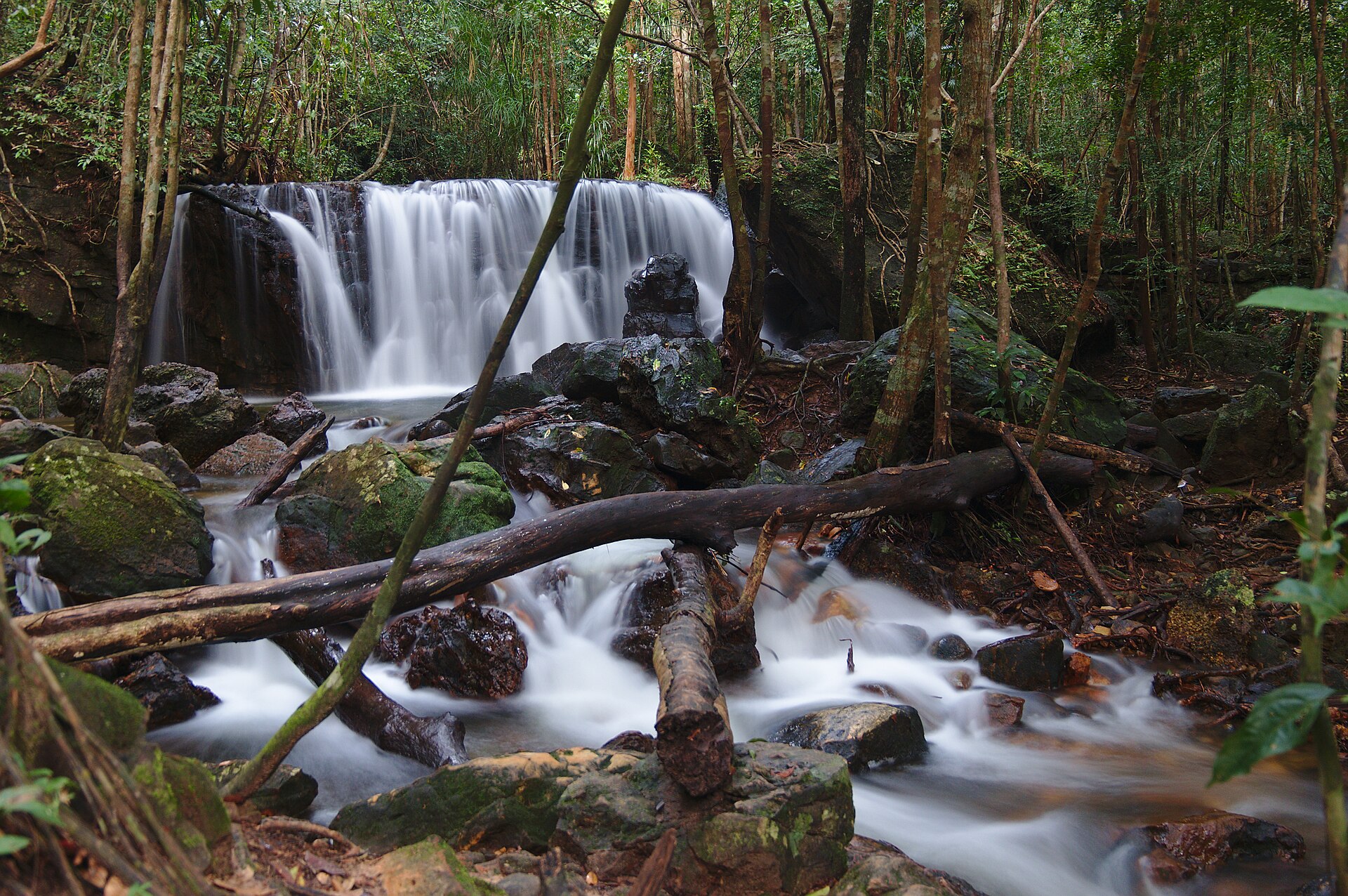 Suối Tranh — ảnh minh hoạ 1/1