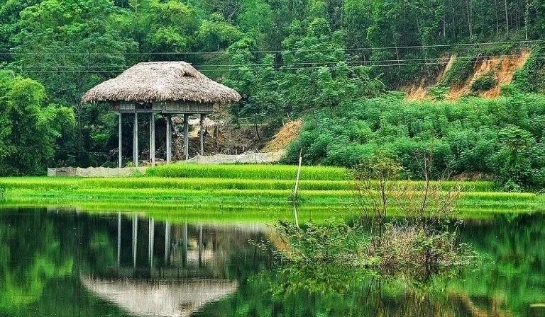 Bản Ngòi Tu — ảnh minh hoạ 1/1