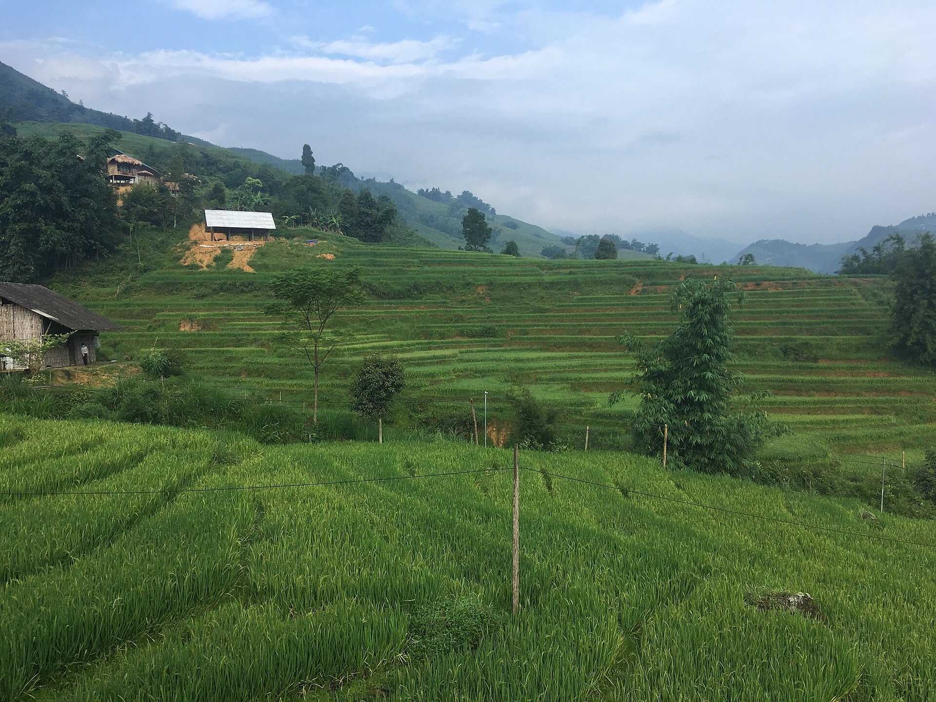 Bản Tả Van — ảnh minh hoạ 1/1