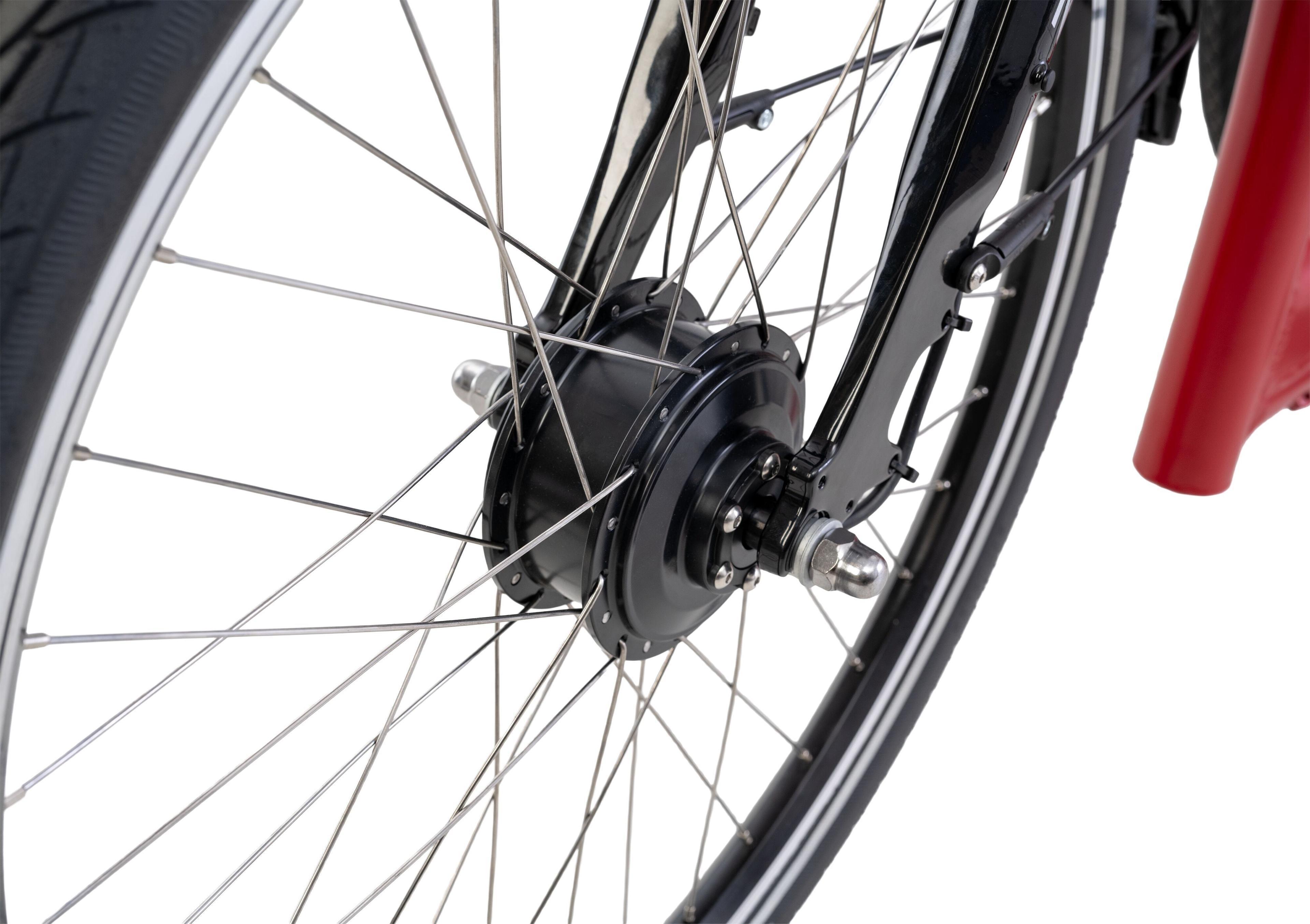 pfautec Vida FM E-Spezialbikes (rot) 3