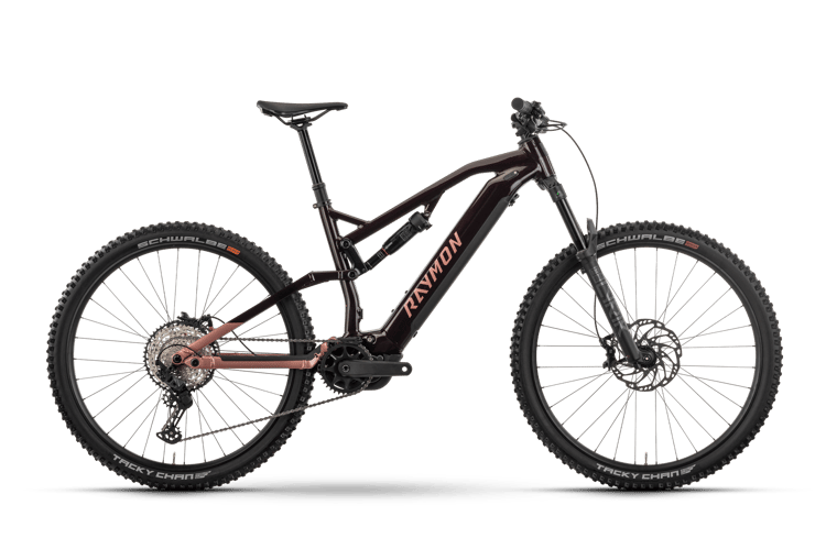 Raymon TrailRay 150 Pro E-Fullys