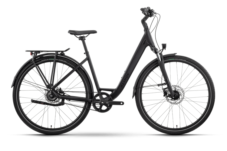 Raymon Zayn Ultra Citybikes