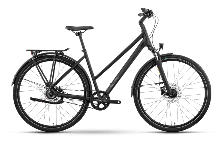 Raymon Zayn Ultra Citybikes