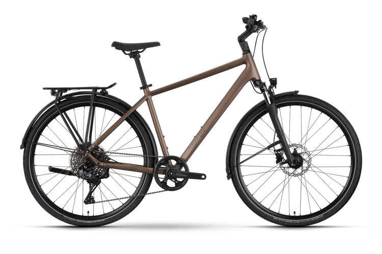 Raymon Zayn Auto Trekkingbikes