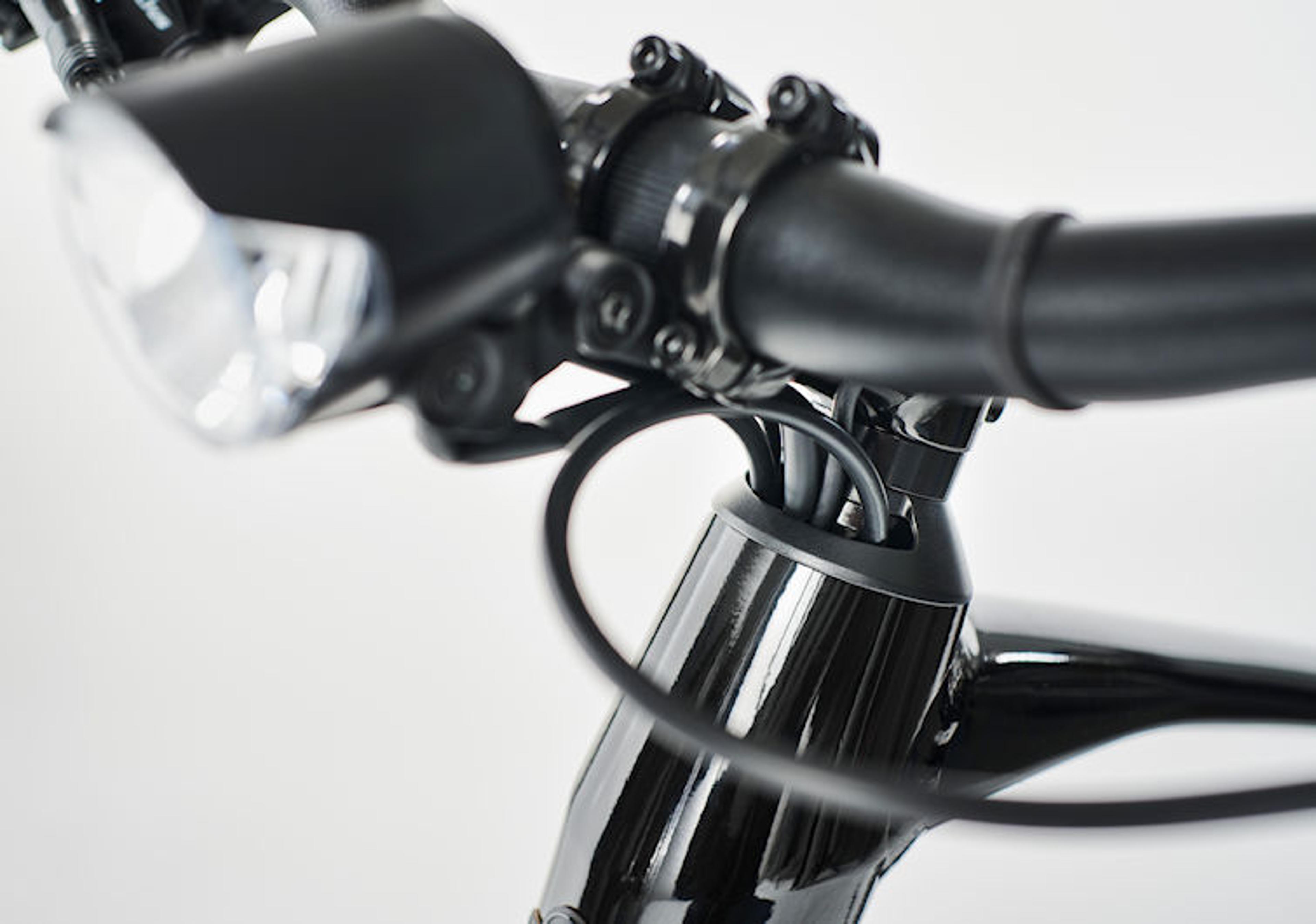 Diamant 365 E-Trekkingbike (schwarz) 3