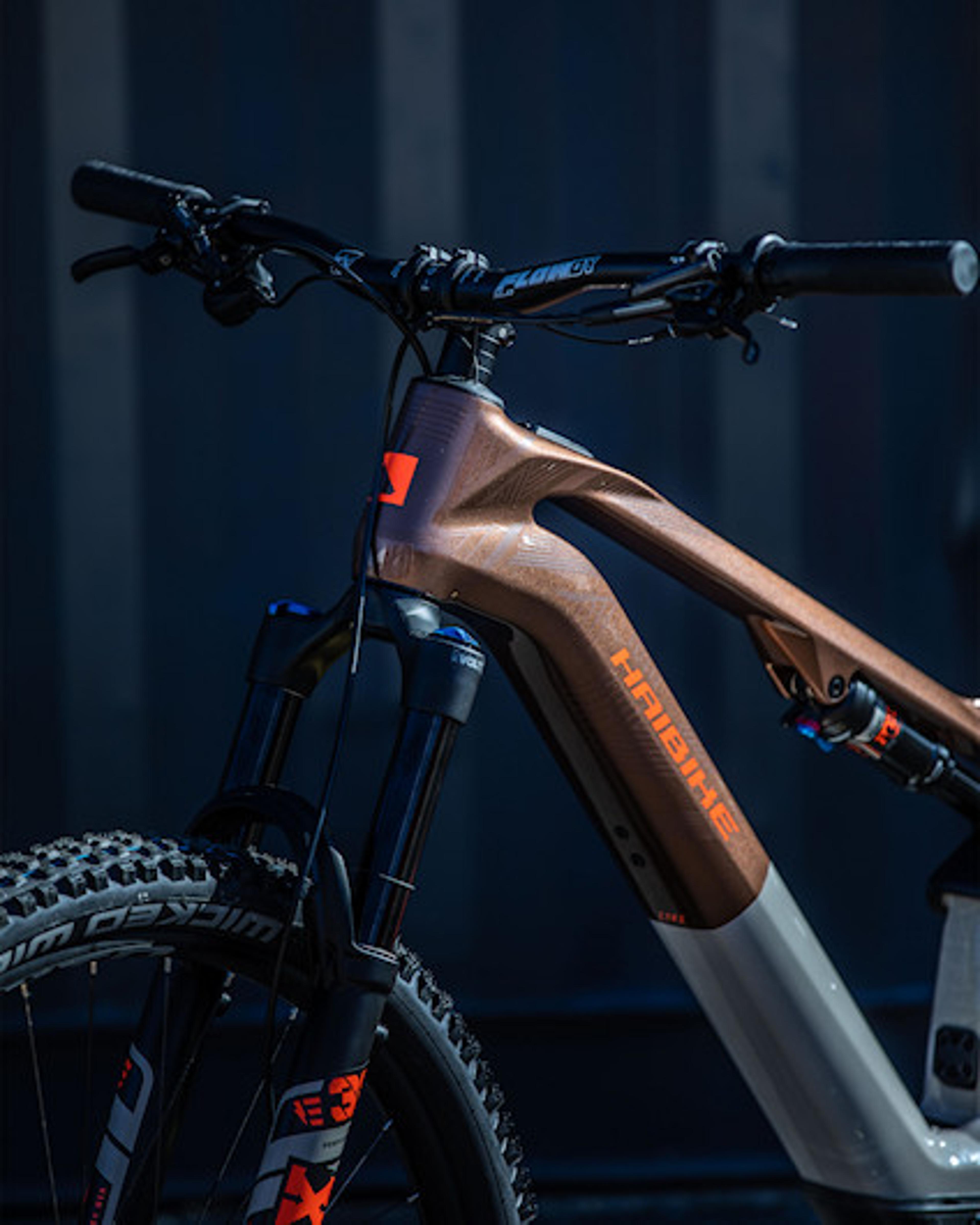 Haibike LYKE CF 10 E-Mountainbike (braun) 2