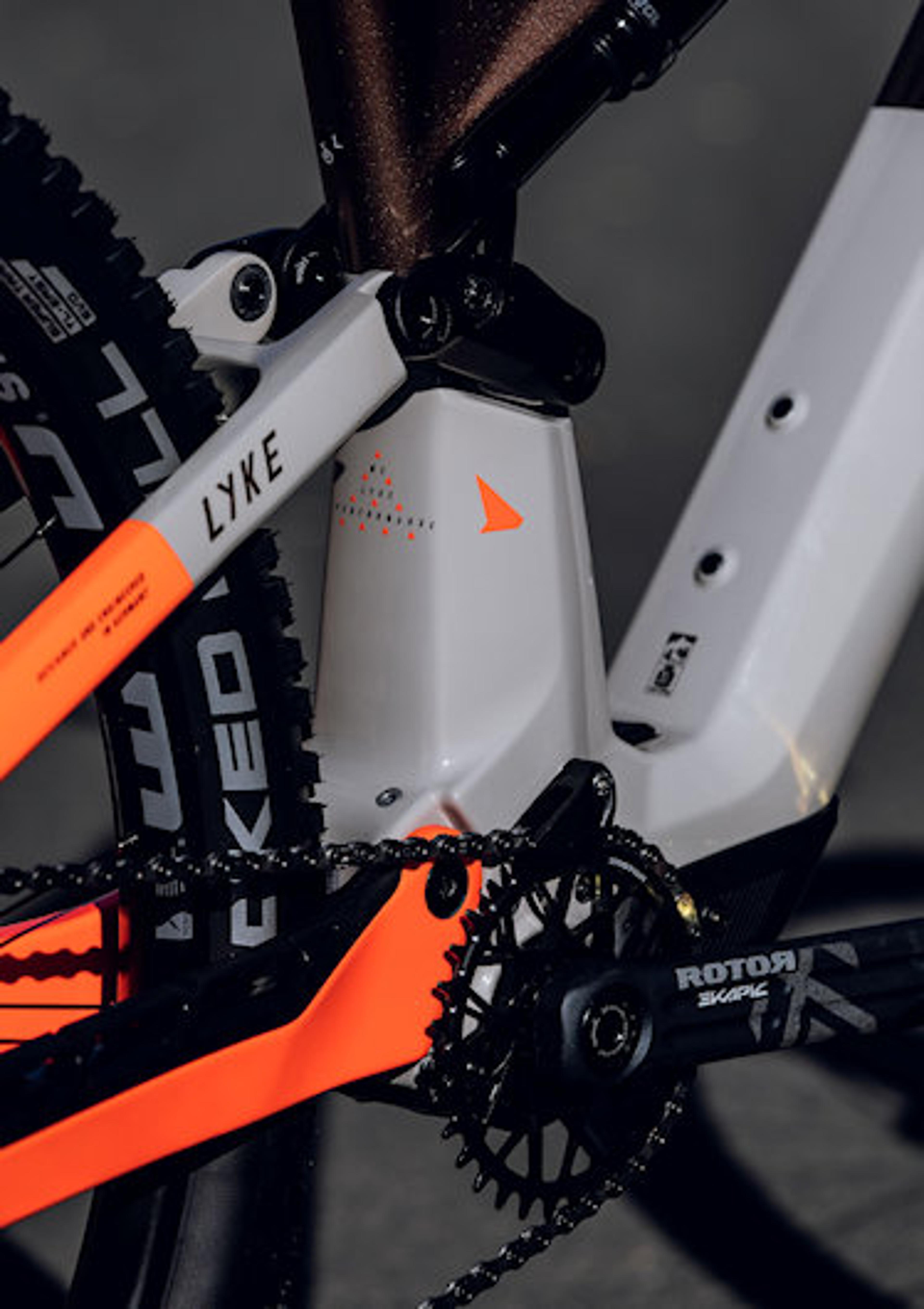 Haibike LYKE CF 10 E-Mountainbike (braun) 3