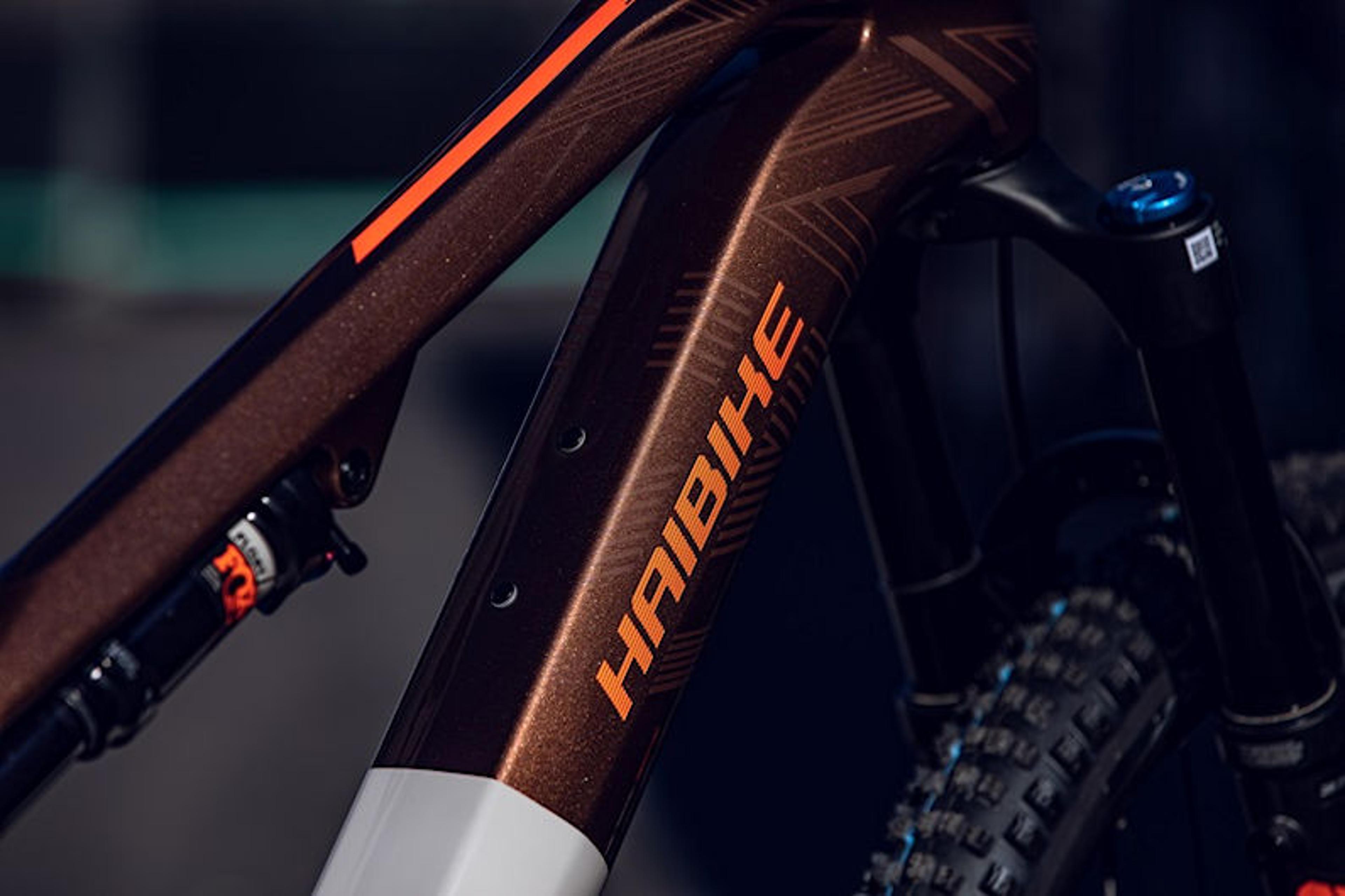 Haibike LYKE CF 10 E-Mountainbike (braun) 4