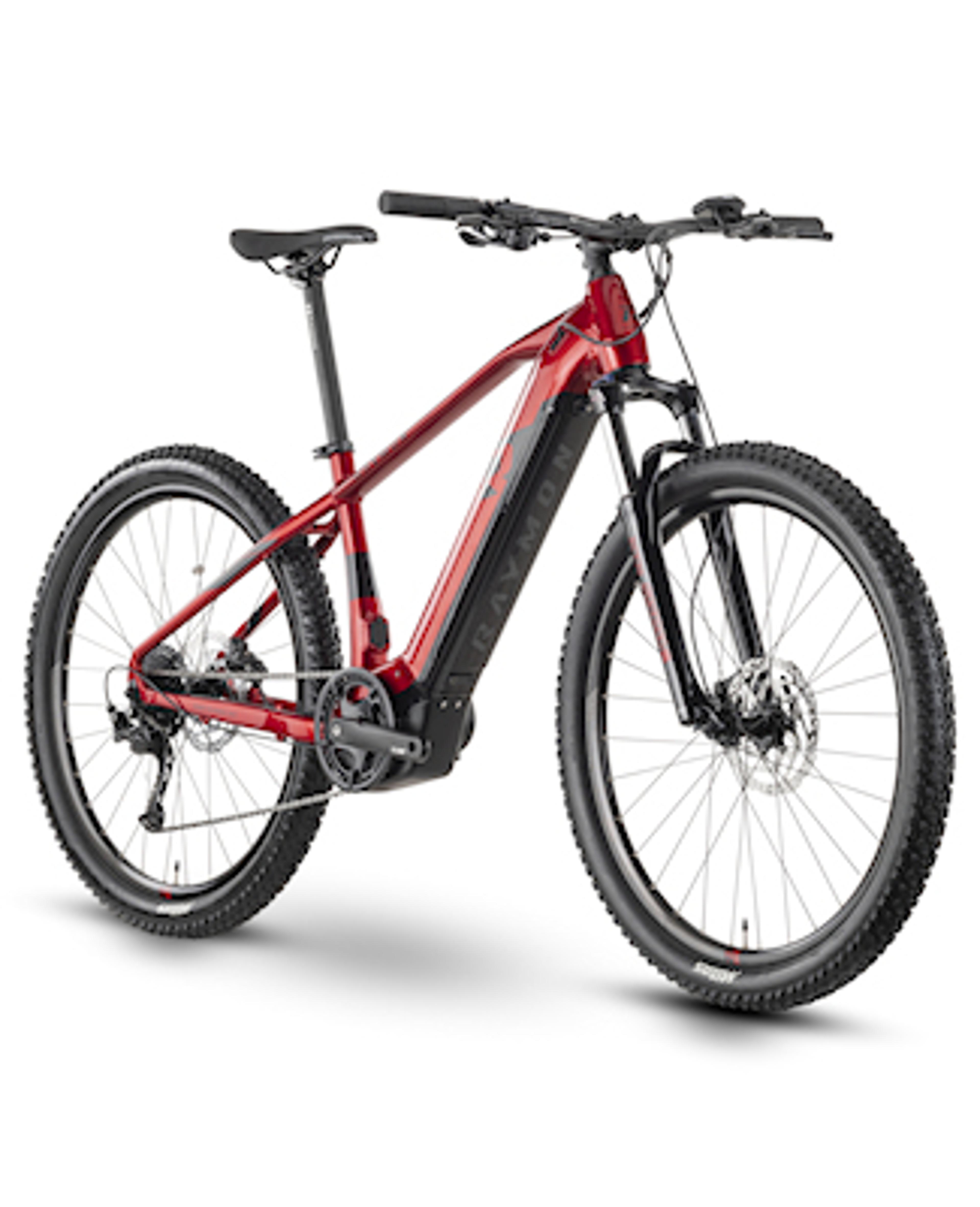 Raymon HardRay E 4.0 E-Mountainbike 2