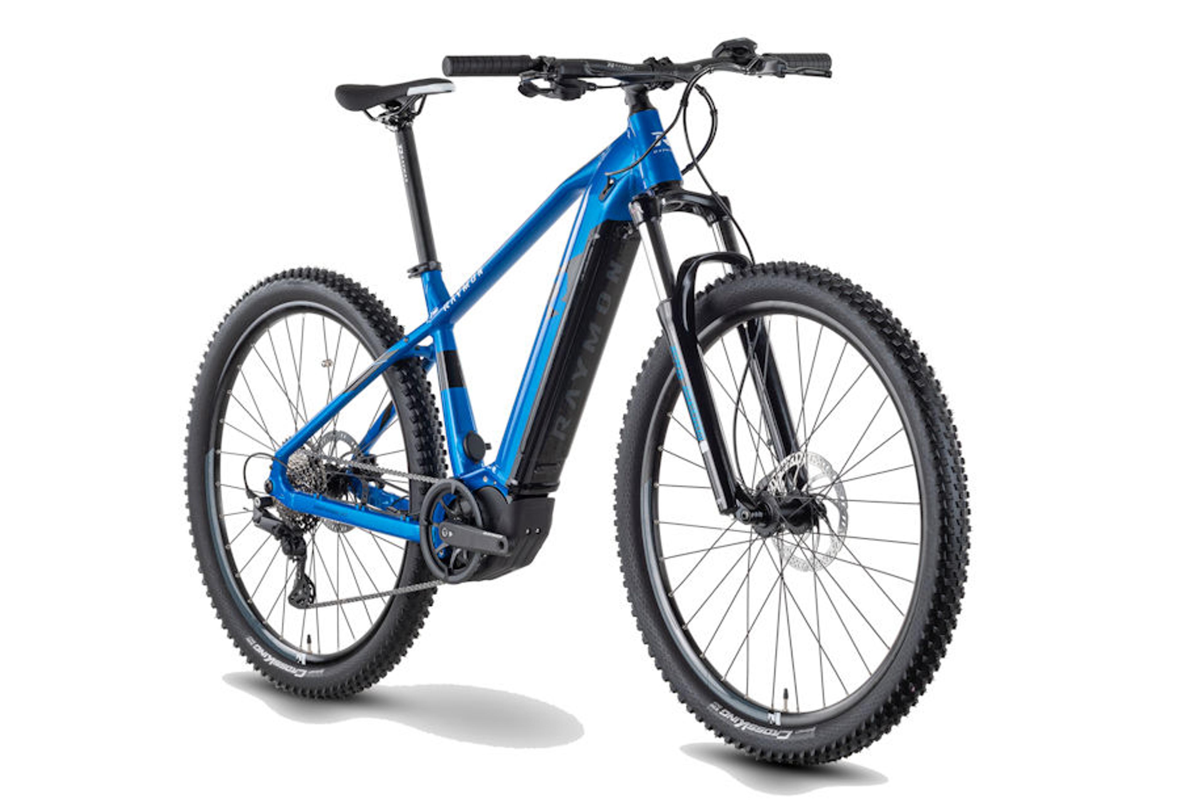 Raymon HardRay E 6.0 E-Mountainbike 3