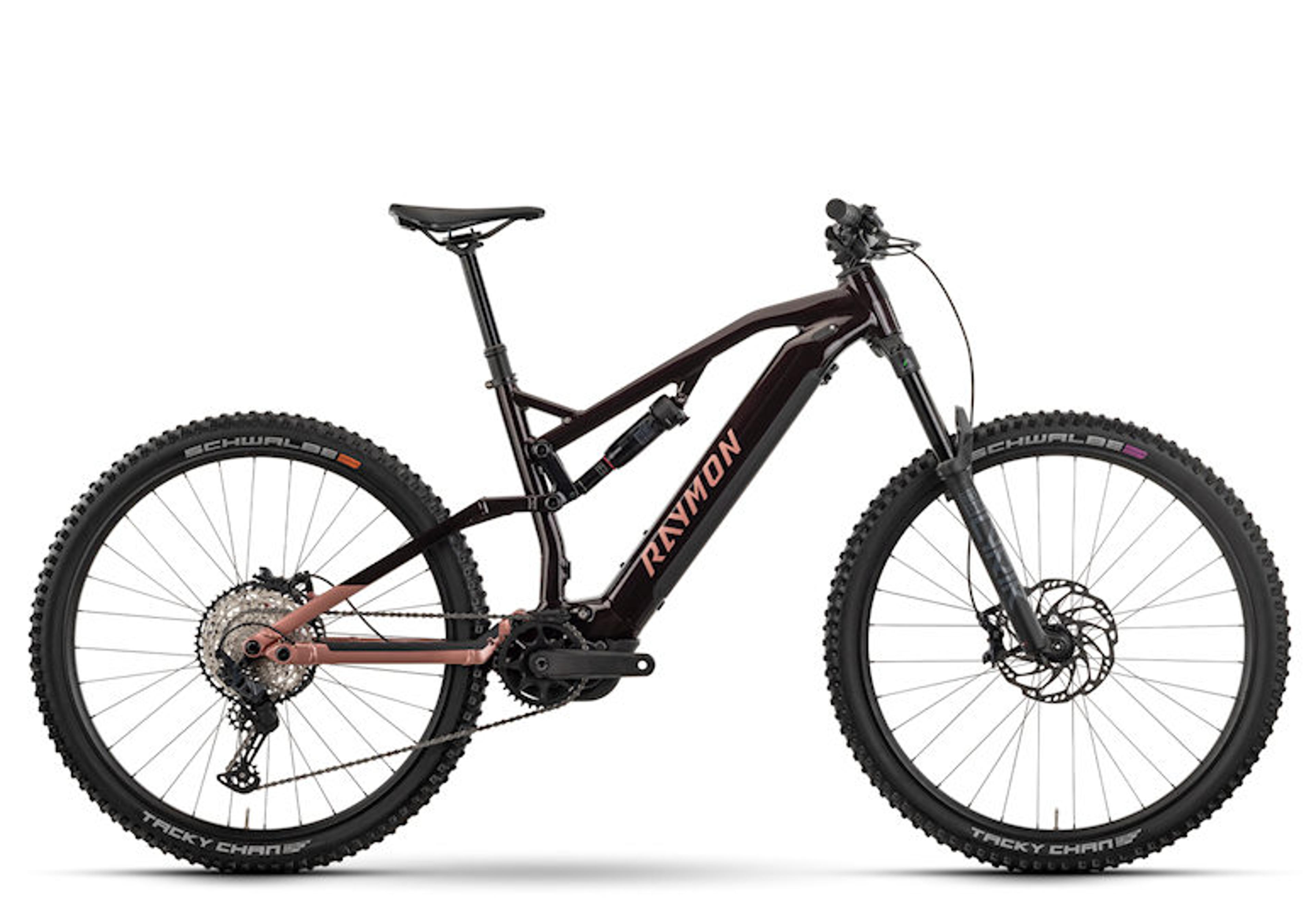 Raymon TrailRay 150 Pro E-Mountainbike (RT/PI) 1