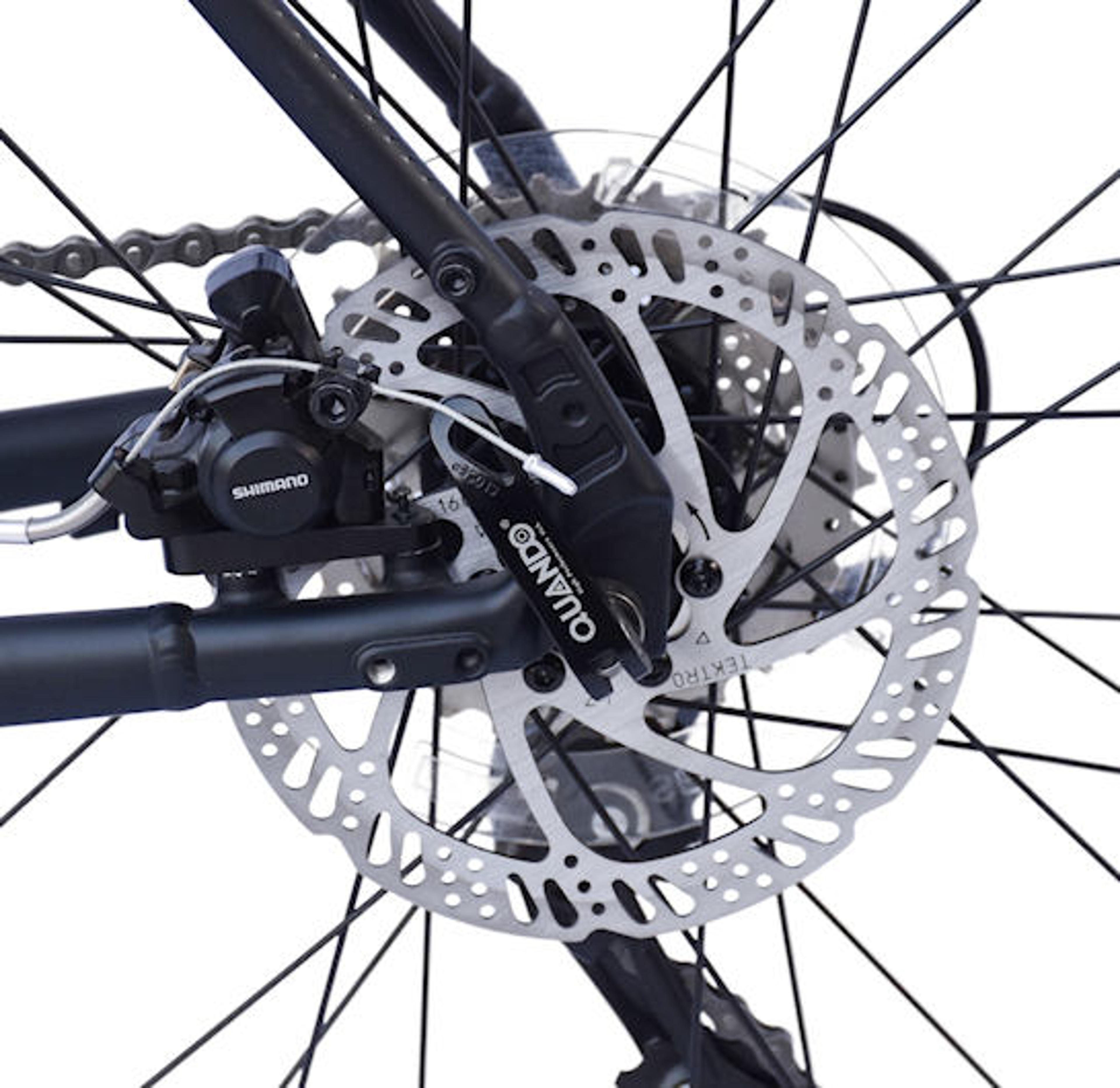 REDLOUD GVL 1.0 Gravelbike (schwarz) 5