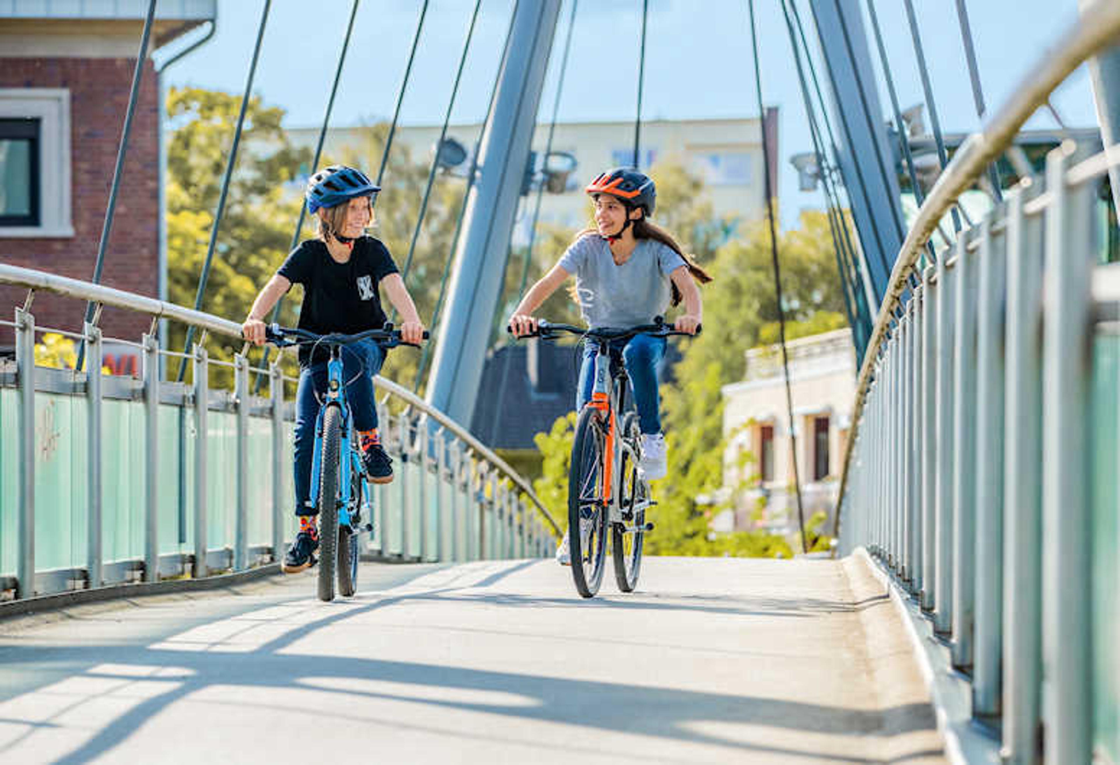 PUKY LS-PRO 20-7 Kinderfahrrad 20 Zoll (silber) 2