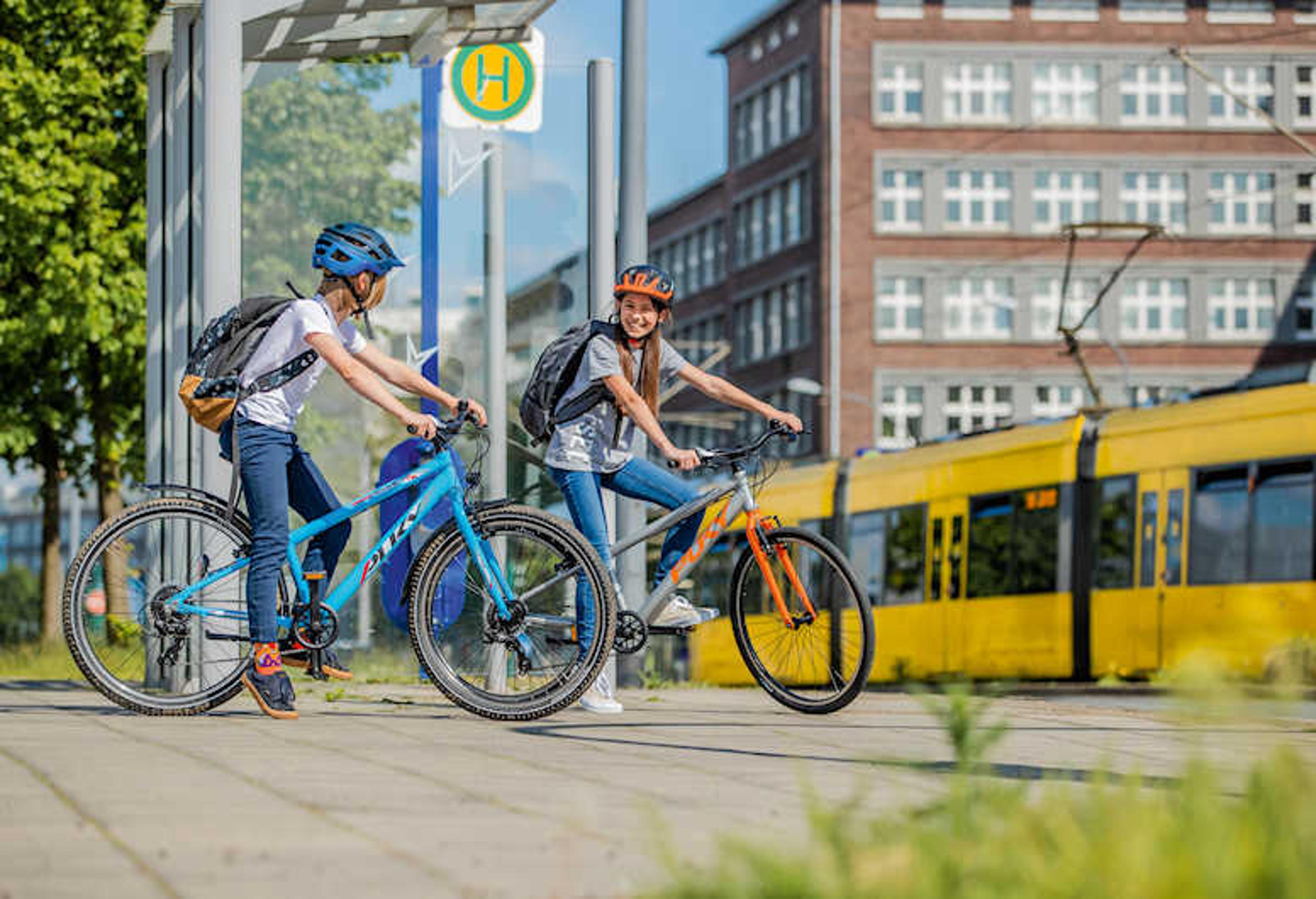 PUKY LS-PRO 20-7 Kinderfahrrad 20 Zoll (silber) 3