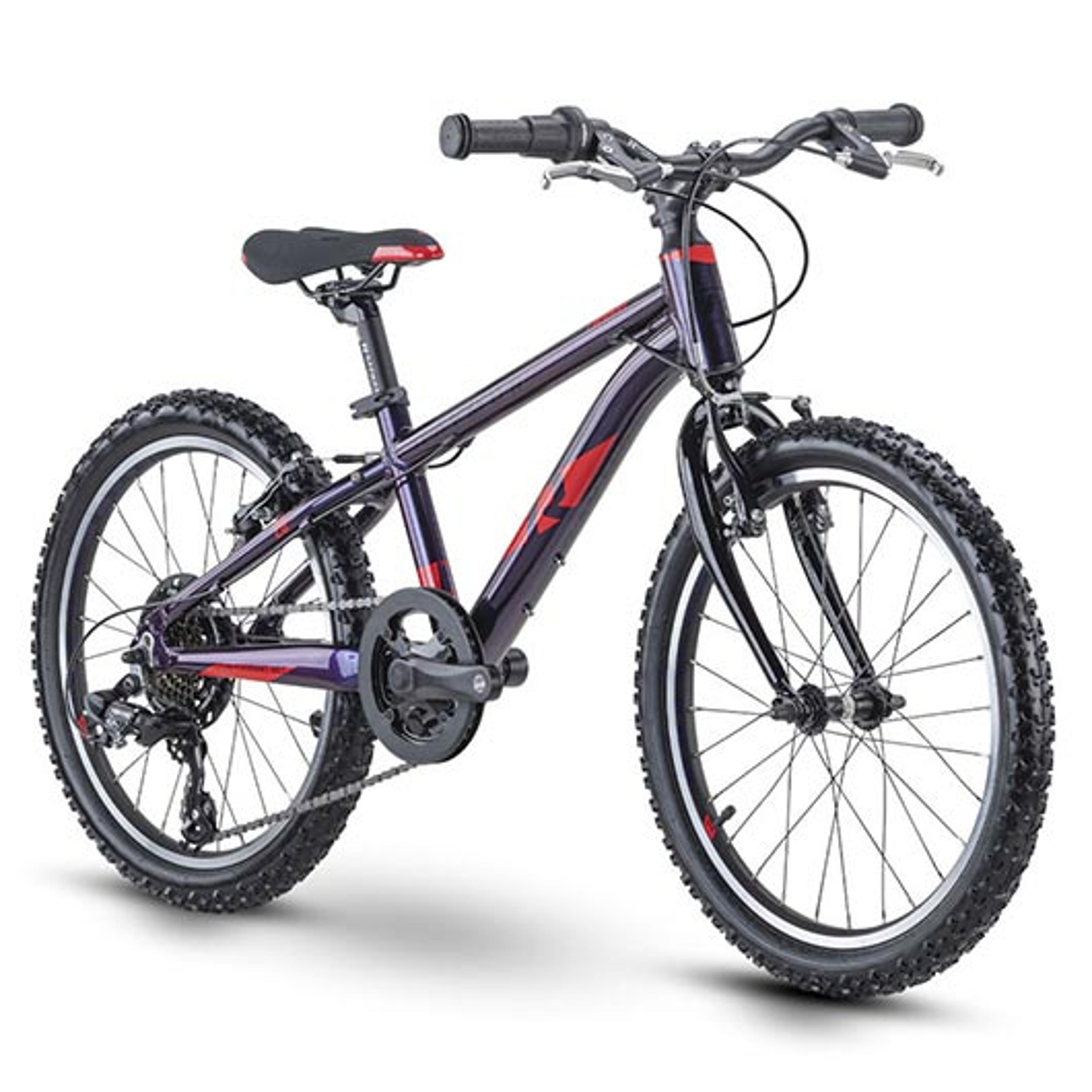 Raymon TwoRay 1.0 Kinderfahrrad 20 Zoll (lila) 2