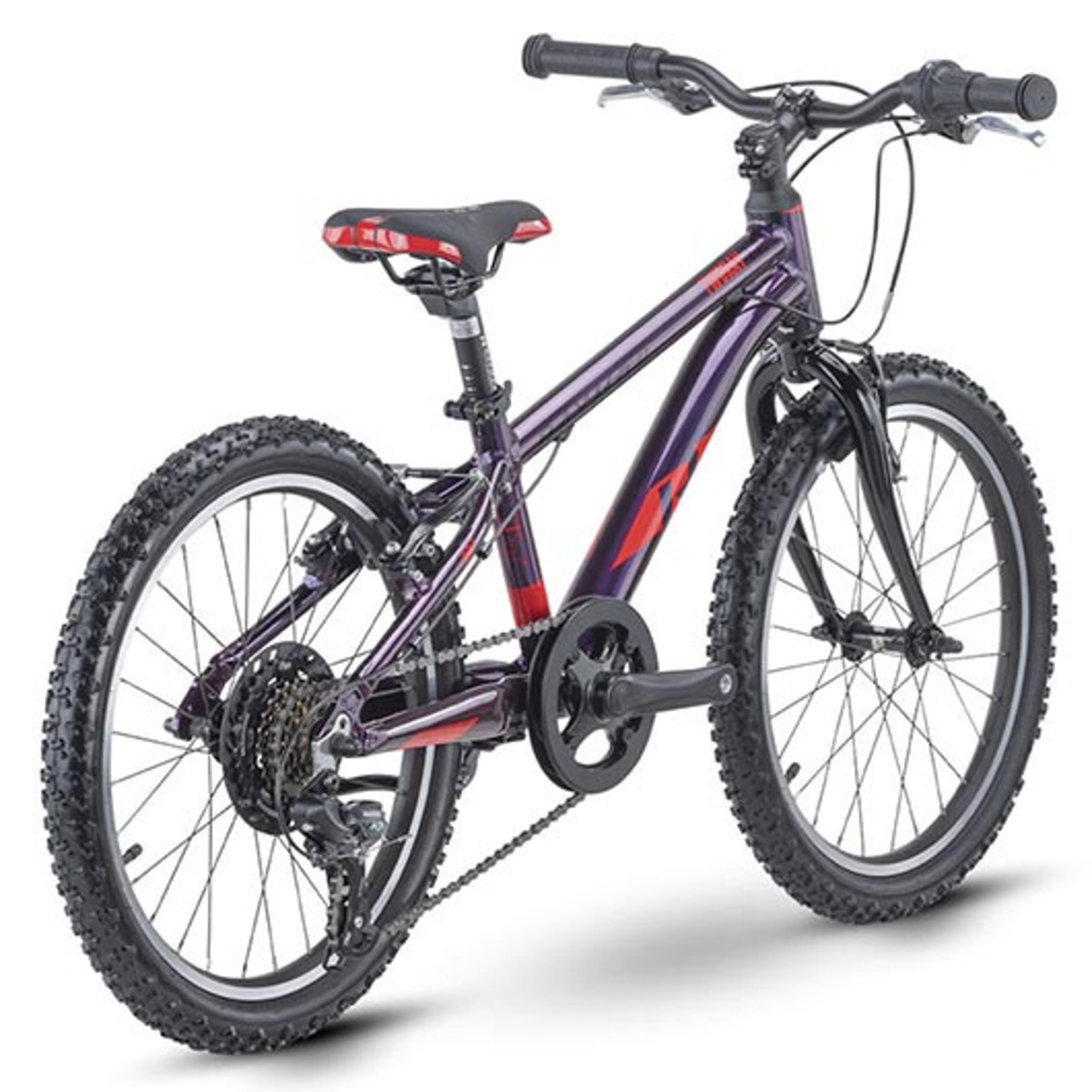 Raymon TwoRay 1.0 Kinderfahrrad 20 Zoll (lila) 3